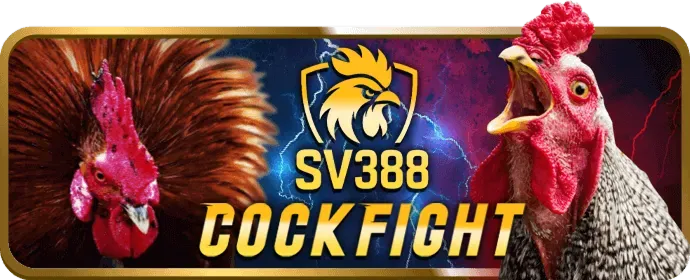 Đánh số đề 4 càng siêu lợi nhuận trên 69vm